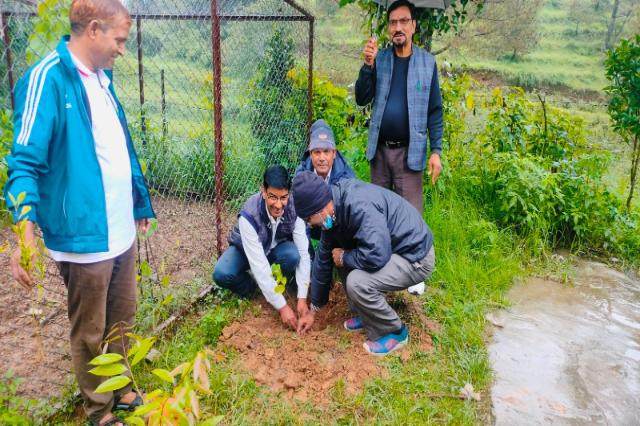 A sapling being planted on the hillside during Meri Maati Mera Desh.